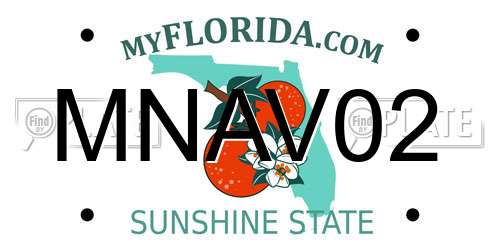 MNAV02 Florida License Plate