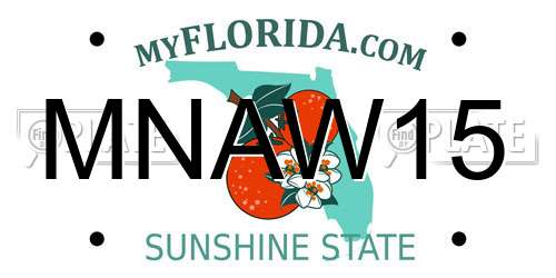MNAW15 Florida License Plate