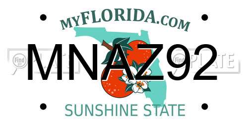 MNAZ92 Florida License Plate
