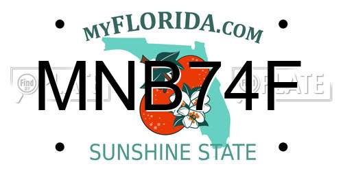 MNB74F Florida License Plate