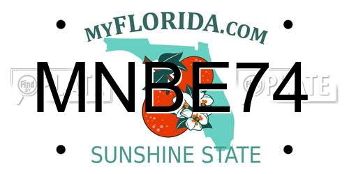 MNBE74 Florida License Plate