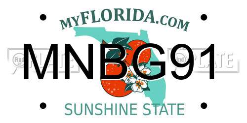MNBG91 Florida License Plate
