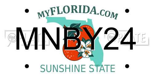 MNBY24 Florida License Plate