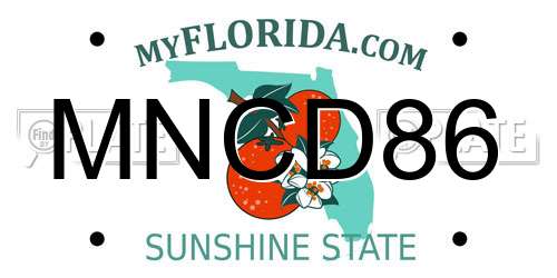 MNCD86 Florida License Plate