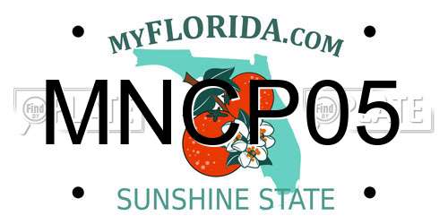 MNCP05 Florida License Plate