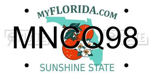 MNCQ98 Florida License Plate