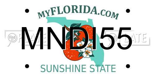 MNDI55 Florida License Plate