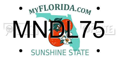 MNDL75 Florida License Plate