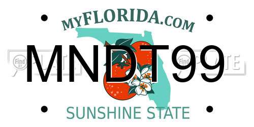 MNDT99 Florida License Plate