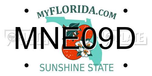 MNE09D Florida License Plate
