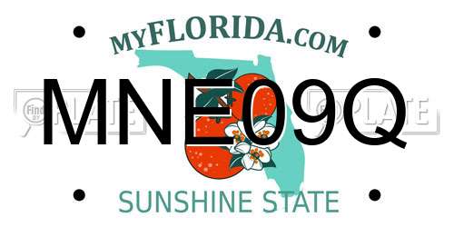 MNE09Q Florida License Plate
