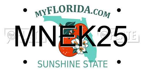 MNEK25 Florida License Plate