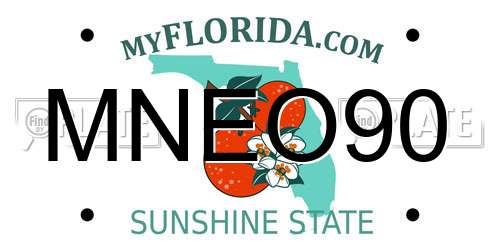 MNEO90 Florida License Plate