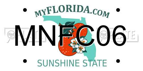 MNFC06 Florida License Plate