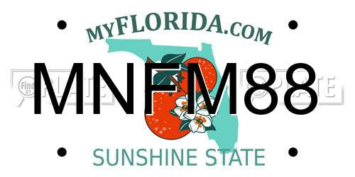 MNFM88 Florida License Plate