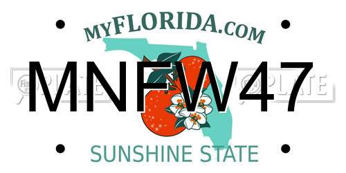 MNFW47 Florida License Plate