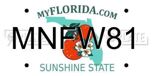 MNFW81 Florida License Plate