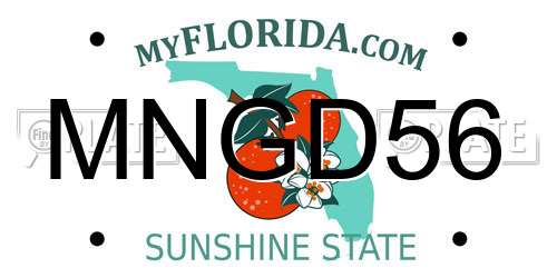 MNGD56 Florida License Plate