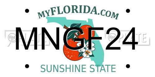 MNGF24 Florida License Plate