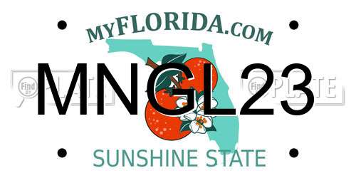 MNGL23 Florida License Plate