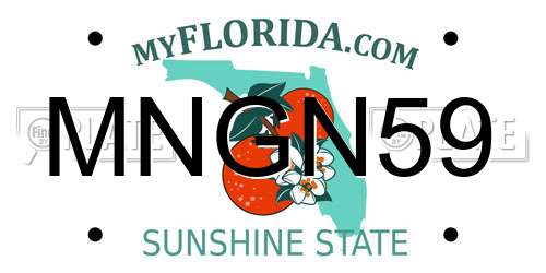 MNGN59 Florida License Plate