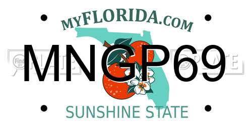 MNGP69 Florida License Plate