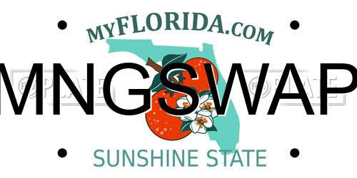 MNGSWAP Florida License Plate