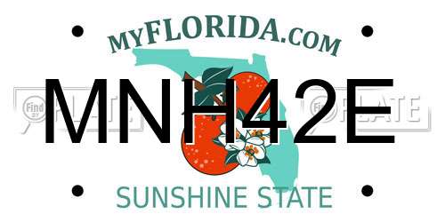 MNH42E Florida License Plate