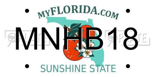 MNHB18 Florida License Plate
