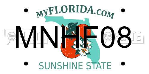 MNHF08 Florida License Plate