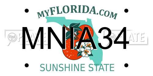 MNIA34 Florida License Plate