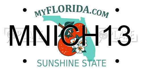 MNICH13 Florida License Plate