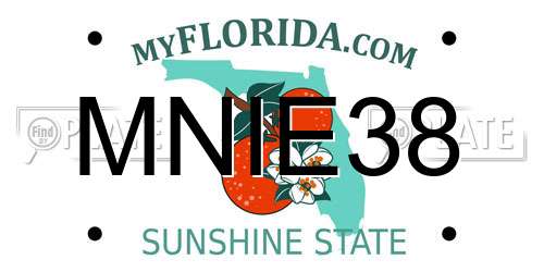 MNIE38 Florida License Plate