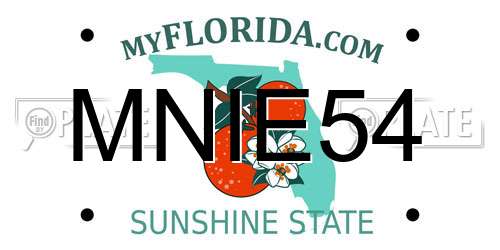 MNIE54 Florida License Plate