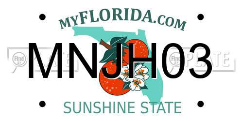 MNJH03 Florida License Plate
