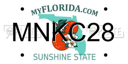 MNKC28 Florida License Plate