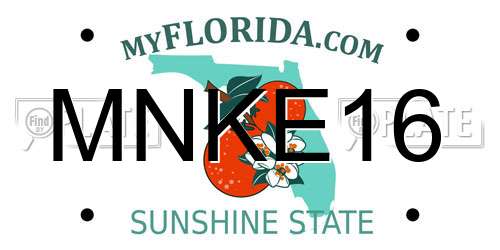 MNKE16 Florida License Plate
