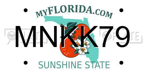 MNKK79 Florida License Plate