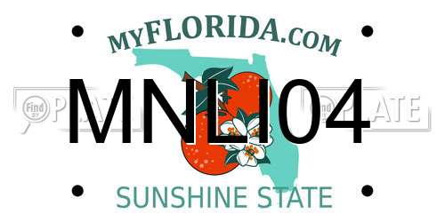 MNLI04 Florida License Plate