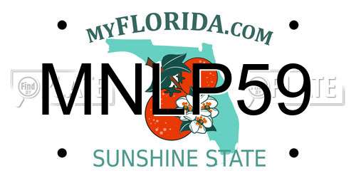 MNLP59 Florida License Plate