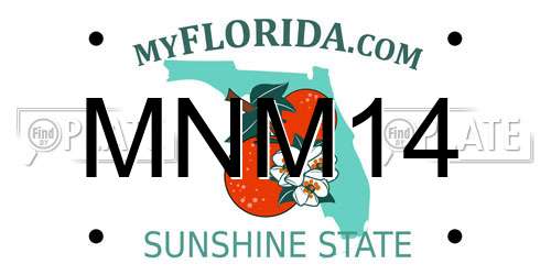 MNM14 Florida License Plate