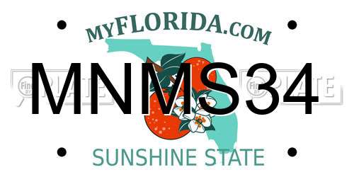 MNMS34 Florida License Plate