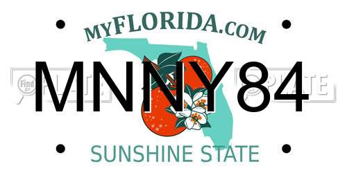 MNNY84 Florida License Plate