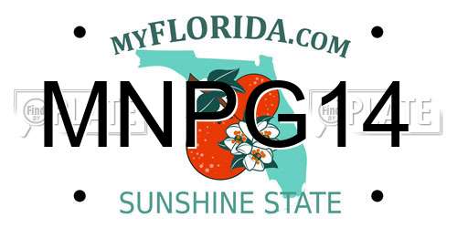MNPG14 Florida License Plate
