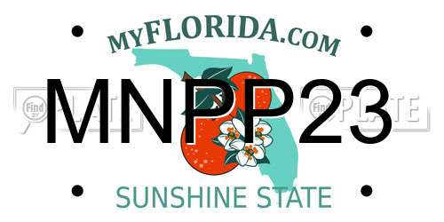 MNPP23 Florida License Plate