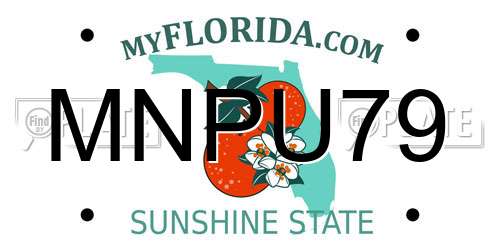 MNPU79 Florida License Plate
