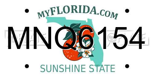 MNQ6154 Florida License Plate