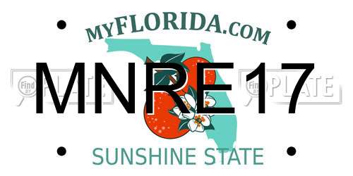 MNRE17 Florida License Plate