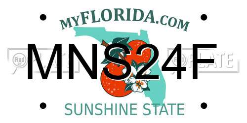 MNS24F Florida License Plate