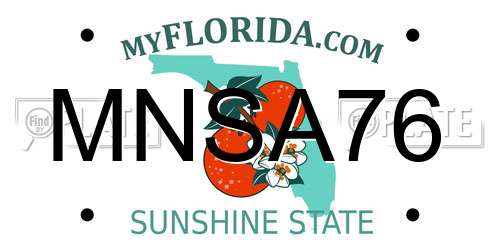 MNSA76 Florida License Plate